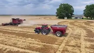 2024 Wheat Harvest
