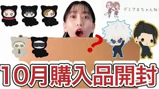 10月購入品【開封】死滅回遊まで1週間！最近あんまり買ってないけど色々と見ていく
