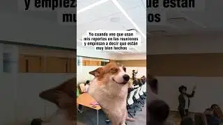 Orgulloso de mis reportes 🤭 