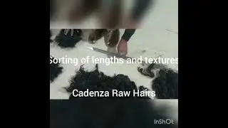 #humanhairs#cadenzahairindia#rawhairs#virginhair#bulkhair#extensions