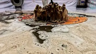 Hidden Colors Revealed – ASMR Rug Transformation