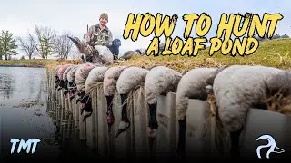 How to ACTUALLY Hunt a Loaf Pond