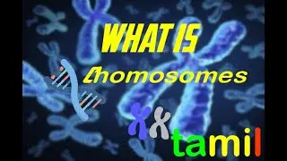 what is chomosomes tamil | nrtech