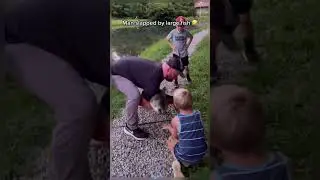 Funny fishing #fyp #funny #fishing  #pets #funnypet #fish#petshub #foryou
