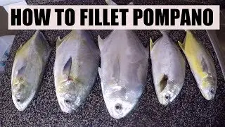 How To Clean a Pompano, Boneless, Skinless Fillet