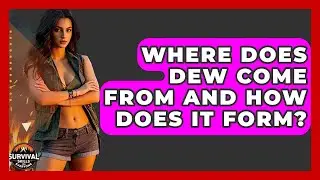 Where Does Dew Come From And How Does It Form? - Survival Skills for Everyone