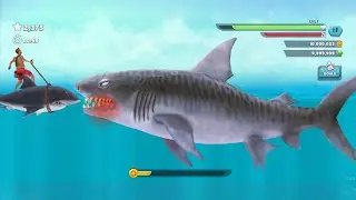 Hungry Shark Evolution - Giant Monster Tiger Shark Vs King Of Summer  🦈