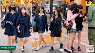 4k hdr Japan travel 2024 | Walk in Shibuya (渋谷) Tokyo Japan |  Relaxing Natural City ambience