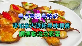 粤点粤菜粤精彩，带加拿大铁粉寻味顺德，顺德勒流龙家菜，粤语中字幕2024-3-24