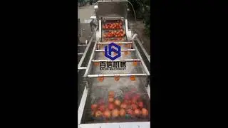 Apple washing machine/apple processing equipment/fruit washing production line