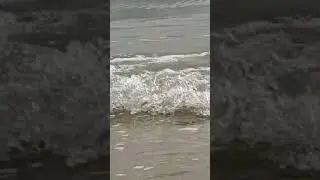 Small Waves #nature #natural #beach #waves #satisfying #trending #viral #shorts #sound #chill #relax