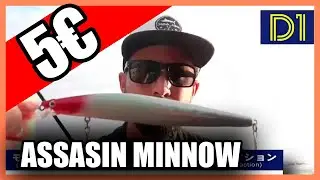 D1 Assasin  ▶MEJOR se&ntilde;uelo BARATO | Para pescar lubina ▶ SPINNING de aliexpress