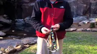 Paw Paws Step-In Harness
