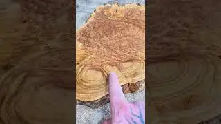 Hard knotty wood from down under #wood #woodworking #art #australia