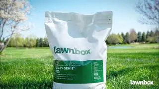 Grass Genie 10-0-6
