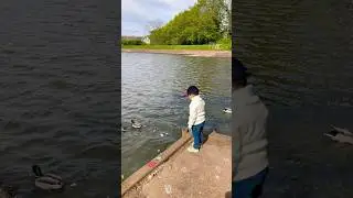 Feeding five little ducks #fivelittleducks #birds #duck #kidsactivities #help #niceweather