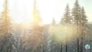 Holiday Edition - Mind Health, Boundaries and Being Human