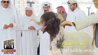 إنجازات مراح نخبة الخليج 2024 / للسيد : حمد خلف المناعي