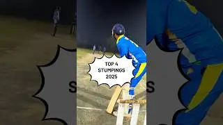 TOP STUMPING 2025  #cricket #bowlervibes #crickettournament #crickethighlights