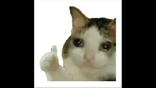 Dalej ch*jowo mi idzie ale daje rade w Elden ring