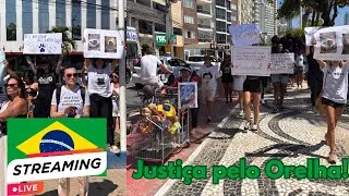 Balneário Camboriú ao Vivo. DOMINGO 01/02/2026. Santa Catarina, Brasil.