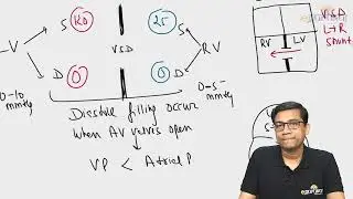 18.Volume Pressure Changes & Venous return