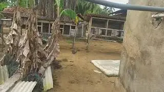 🎵 Lagu 2000an Nostalgia Sekolah | Kenangan Cinta Pertama & Masa SMA