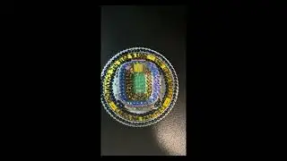 Carolina Panthers Commemorative Coin