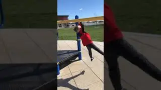 Monkey Bar Fail