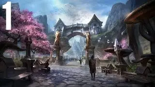 The Elder Scrolls Online: Tamriel Unlimited - Mages Guild part 1 (Game Movie) (No Commentary)