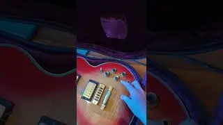 New Gear Arrivals - 30 April 2024 - Guitar Colonel Store Melbourne