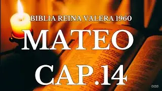 Biblia Hablada-BIBLIA REINA VALERA 1960 MATEO CAP 14