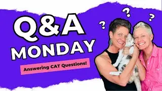 Q&A Monday