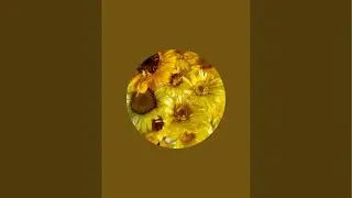 Live Chat! Plan My Fall Garden With Me!