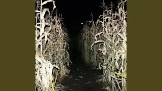 What U Thought This Was?