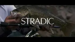 NEW Stradic FL