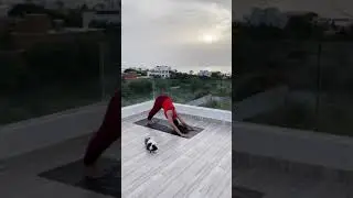 Keerthi suresh Morning exercise || yoga || filmy entertainment