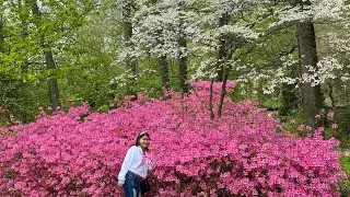 Walking Around in BROOKSIDE GARDEN IN SILVER SPRING MARYLAND-2020