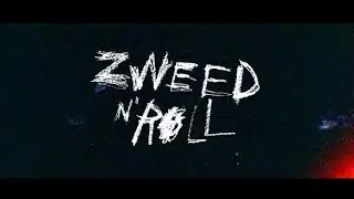 Zweed n' Roll - Always (True Music Live Session)