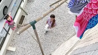 屋根より高い？鯉のぼりにななたんが大喜び！！【ココロマン普段の様子】