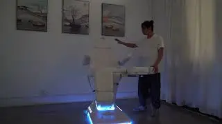 【Arrowhealthy】 Electric Beauty Tattoo Chair (split leg version)