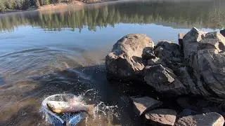 Wild Trout Fishing