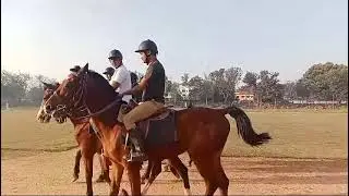 Group training by purushottam Sharma  horse riding training instructor 