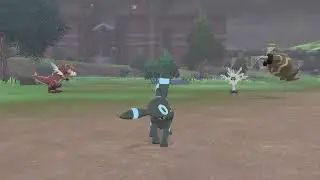 Umbreon (Shiny) Reacts Cute in Pok&eacute;mon Camp