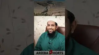 BAAZ KI UDAAN....