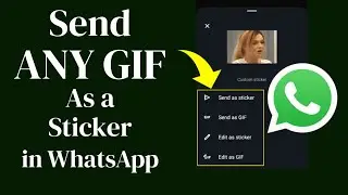 Send ANY GIF as a STICKER on WhatsApp