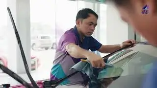Windshield Protection
