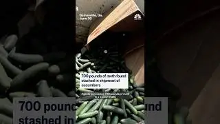 700 pounds of meth found stashed in cucumber boxes