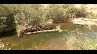 What Happens When the Water of 