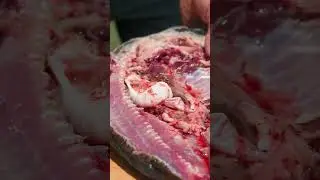 Fishing and Roasting Fish Outdoors